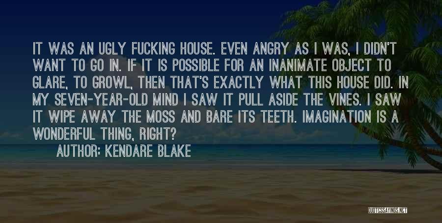Kendare Blake Quotes: It Was An Ugly Fucking House. Even Angry As I Was, I Didn't Want To Go In. If It Is