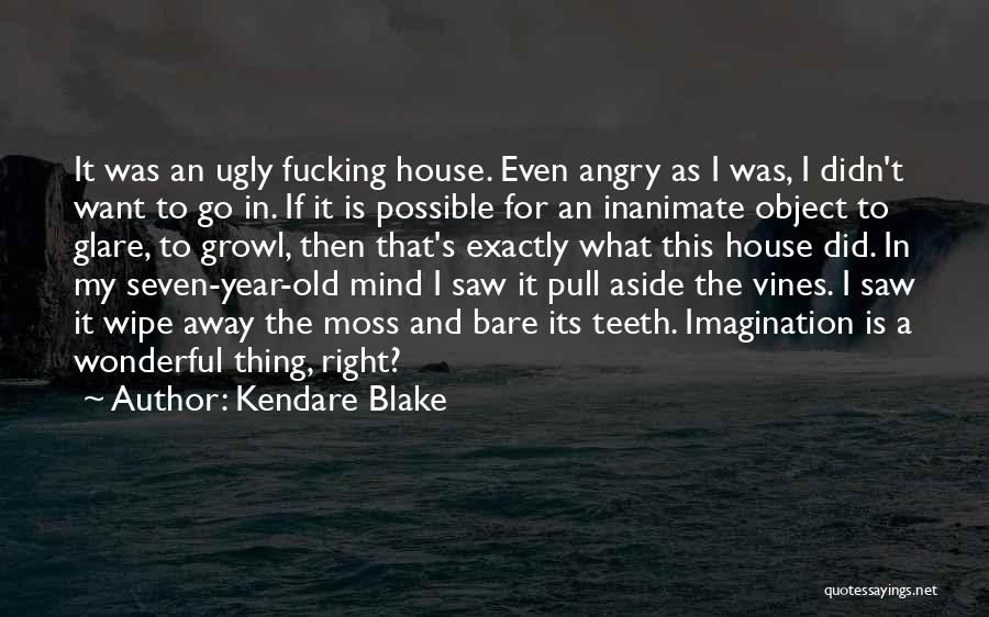 Kendare Blake Quotes: It Was An Ugly Fucking House. Even Angry As I Was, I Didn't Want To Go In. If It Is