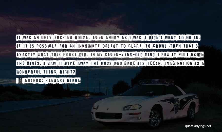 Kendare Blake Quotes: It Was An Ugly Fucking House. Even Angry As I Was, I Didn't Want To Go In. If It Is