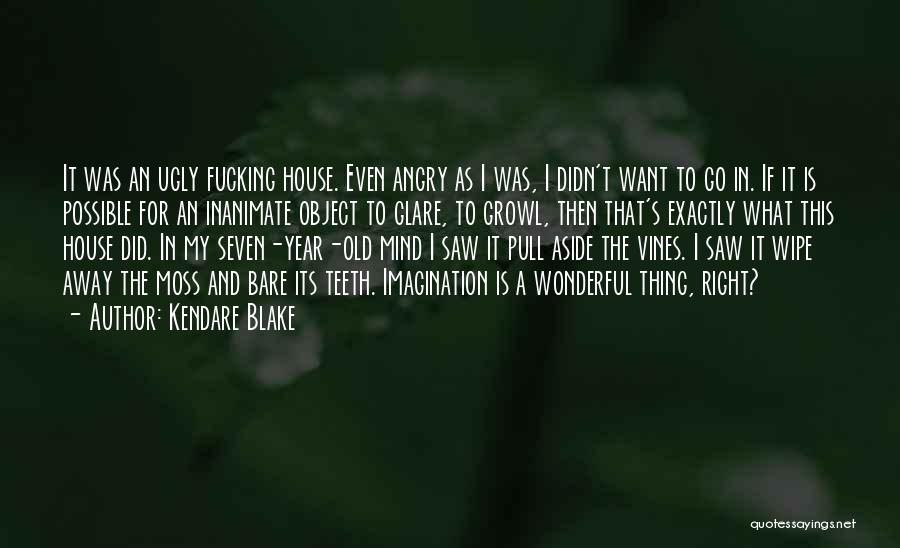 Kendare Blake Quotes: It Was An Ugly Fucking House. Even Angry As I Was, I Didn't Want To Go In. If It Is