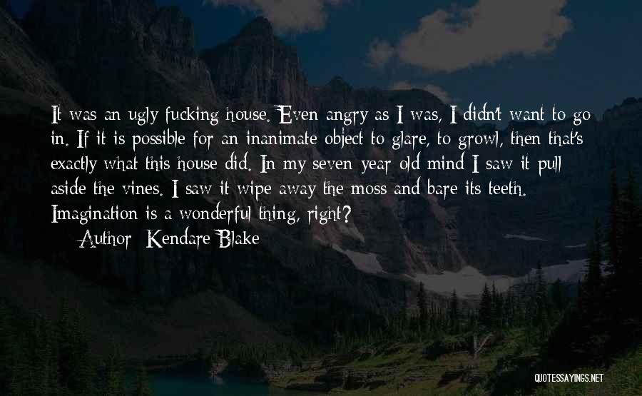 Kendare Blake Quotes: It Was An Ugly Fucking House. Even Angry As I Was, I Didn't Want To Go In. If It Is