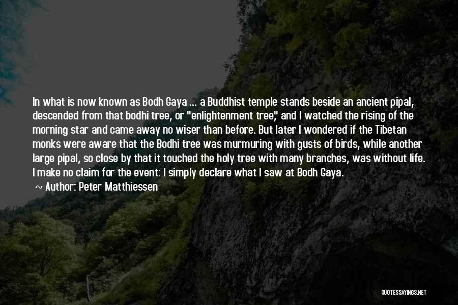 Peter Matthiessen Quotes: In What Is Now Known As Bodh Gaya ... A Buddhist Temple Stands Beside An Ancient Pipal, Descended From That