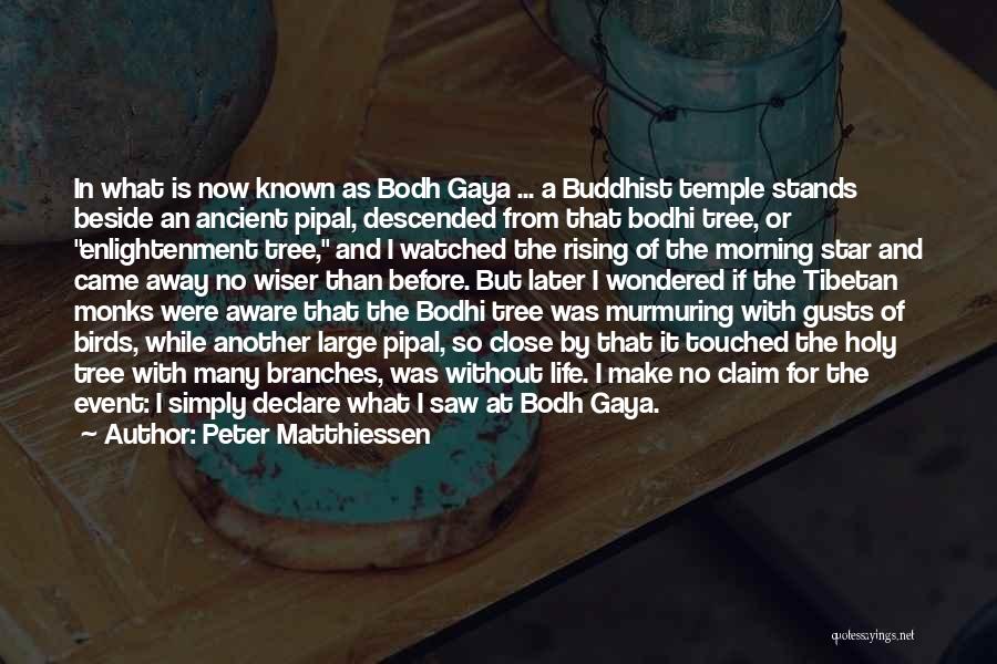 Peter Matthiessen Quotes: In What Is Now Known As Bodh Gaya ... A Buddhist Temple Stands Beside An Ancient Pipal, Descended From That