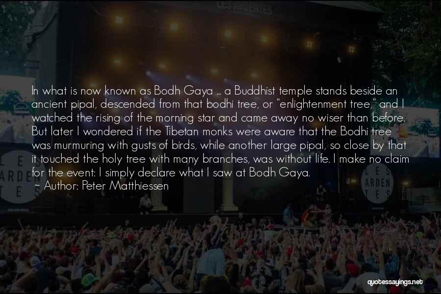 Peter Matthiessen Quotes: In What Is Now Known As Bodh Gaya ... A Buddhist Temple Stands Beside An Ancient Pipal, Descended From That