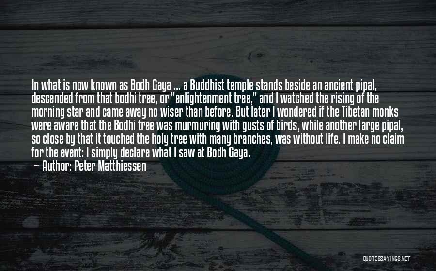 Peter Matthiessen Quotes: In What Is Now Known As Bodh Gaya ... A Buddhist Temple Stands Beside An Ancient Pipal, Descended From That