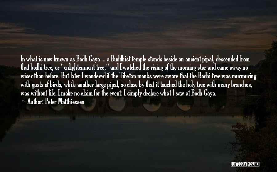 Peter Matthiessen Quotes: In What Is Now Known As Bodh Gaya ... A Buddhist Temple Stands Beside An Ancient Pipal, Descended From That