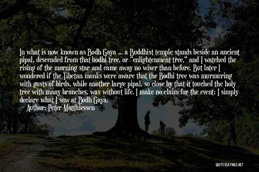 Peter Matthiessen Quotes: In What Is Now Known As Bodh Gaya ... A Buddhist Temple Stands Beside An Ancient Pipal, Descended From That