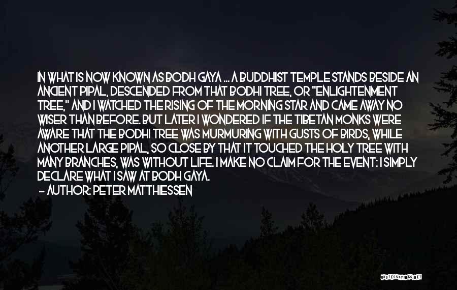 Peter Matthiessen Quotes: In What Is Now Known As Bodh Gaya ... A Buddhist Temple Stands Beside An Ancient Pipal, Descended From That