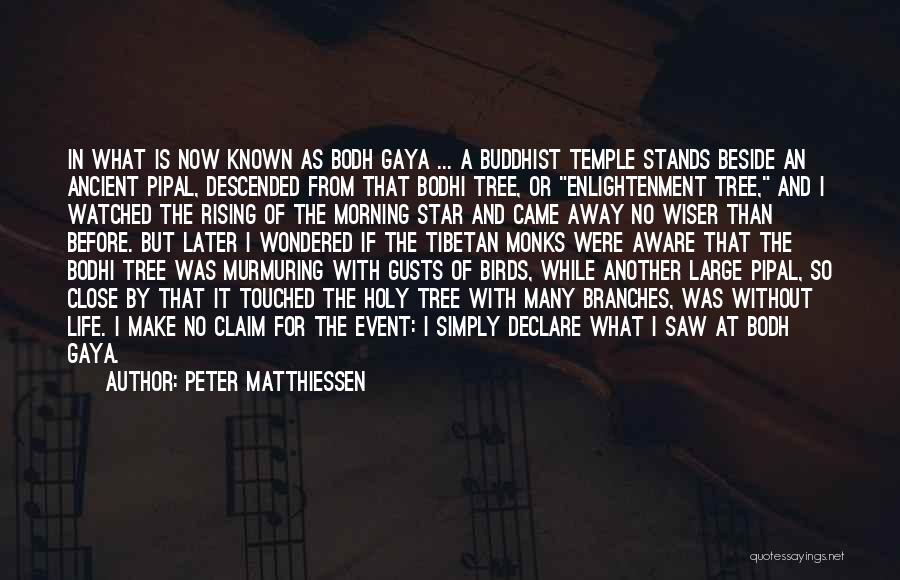 Peter Matthiessen Quotes: In What Is Now Known As Bodh Gaya ... A Buddhist Temple Stands Beside An Ancient Pipal, Descended From That