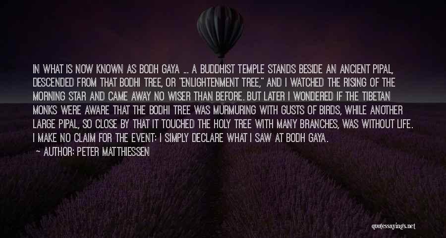 Peter Matthiessen Quotes: In What Is Now Known As Bodh Gaya ... A Buddhist Temple Stands Beside An Ancient Pipal, Descended From That