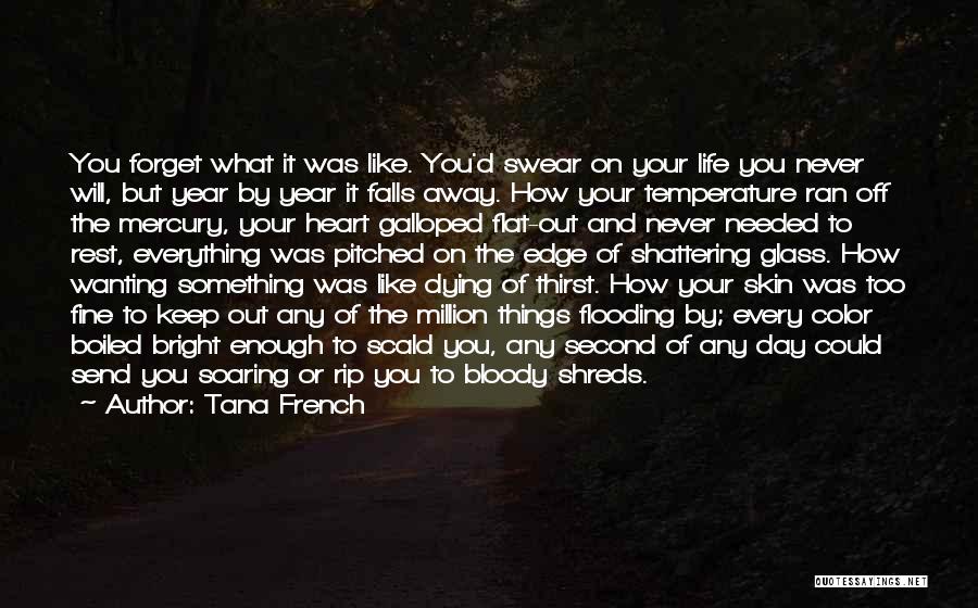 Tana French Quotes: You Forget What It Was Like. You'd Swear On Your Life You Never Will, But Year By Year It Falls