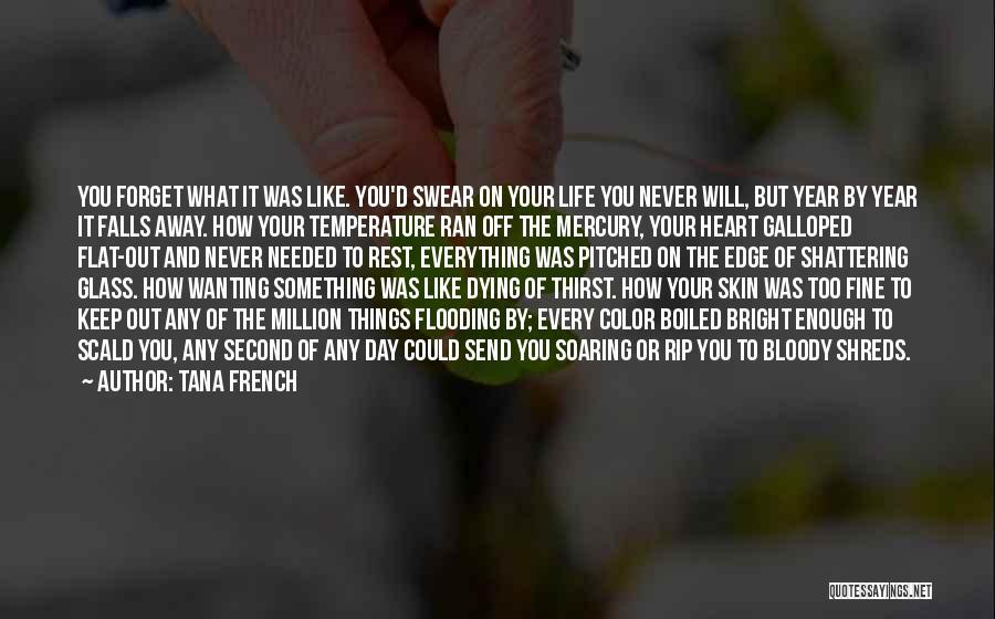 Tana French Quotes: You Forget What It Was Like. You'd Swear On Your Life You Never Will, But Year By Year It Falls
