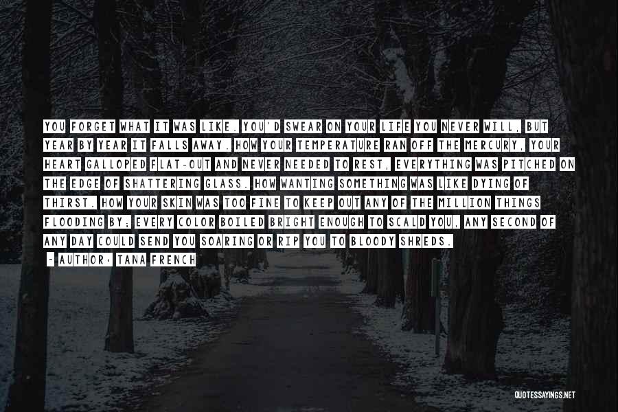 Tana French Quotes: You Forget What It Was Like. You'd Swear On Your Life You Never Will, But Year By Year It Falls