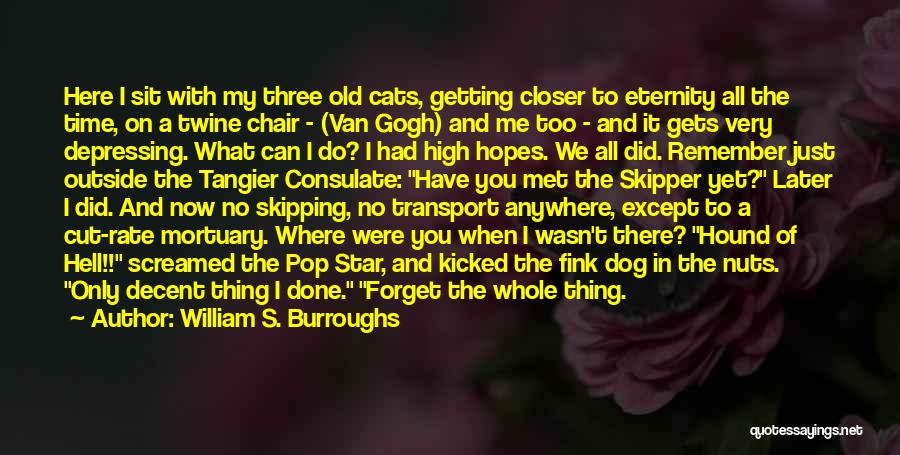 William S. Burroughs Quotes: Here I Sit With My Three Old Cats, Getting Closer To Eternity All The Time, On A Twine Chair -