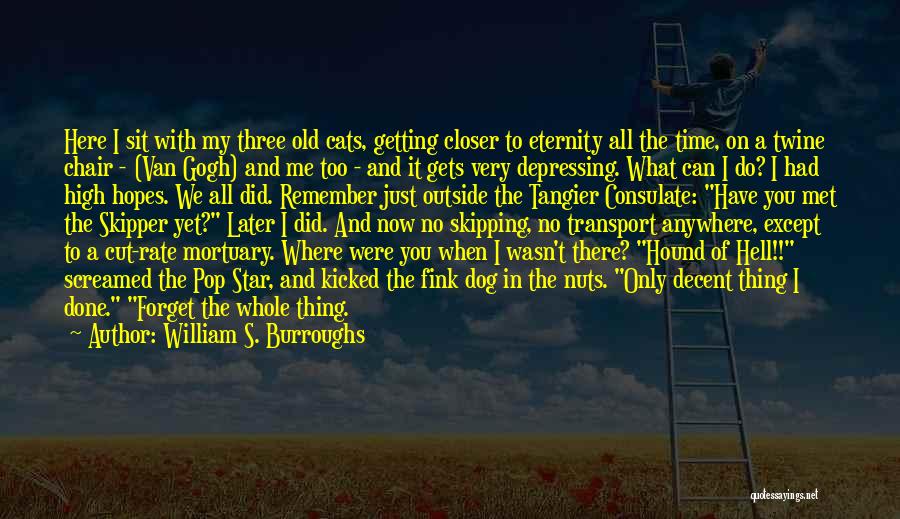 William S. Burroughs Quotes: Here I Sit With My Three Old Cats, Getting Closer To Eternity All The Time, On A Twine Chair -