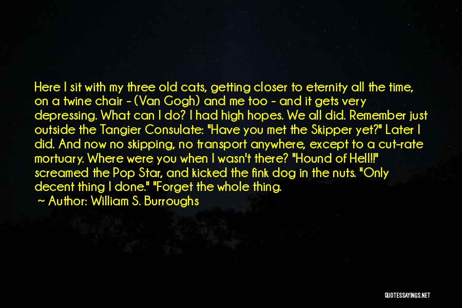 William S. Burroughs Quotes: Here I Sit With My Three Old Cats, Getting Closer To Eternity All The Time, On A Twine Chair -