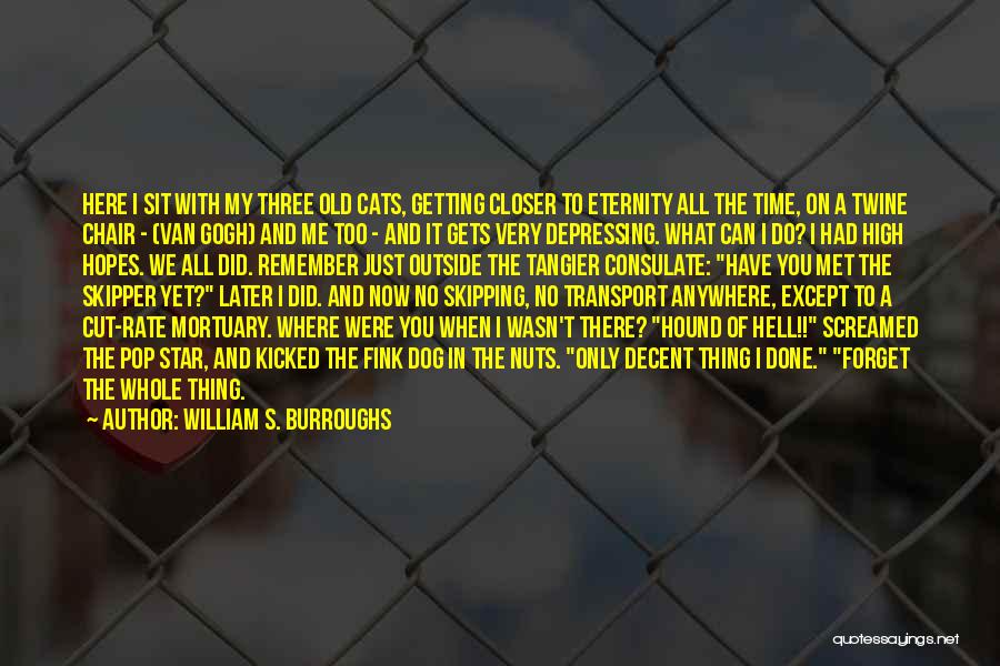 William S. Burroughs Quotes: Here I Sit With My Three Old Cats, Getting Closer To Eternity All The Time, On A Twine Chair -