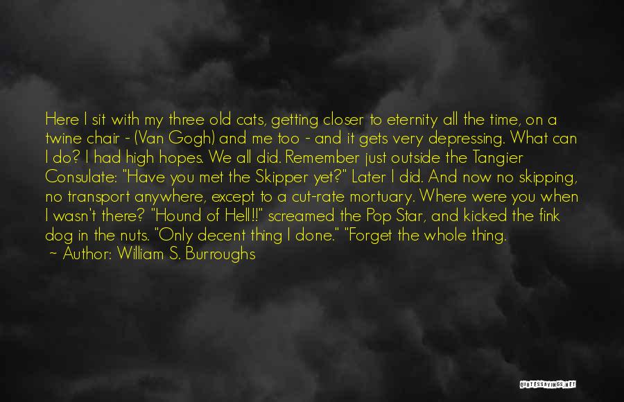 William S. Burroughs Quotes: Here I Sit With My Three Old Cats, Getting Closer To Eternity All The Time, On A Twine Chair -