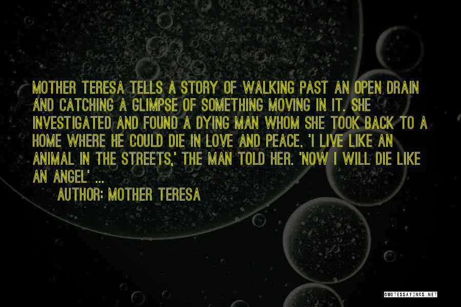 Mother Teresa Quotes: Mother Teresa Tells A Story Of Walking Past An Open Drain And Catching A Glimpse Of Something Moving In It.