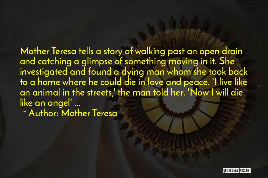 Mother Teresa Quotes: Mother Teresa Tells A Story Of Walking Past An Open Drain And Catching A Glimpse Of Something Moving In It.