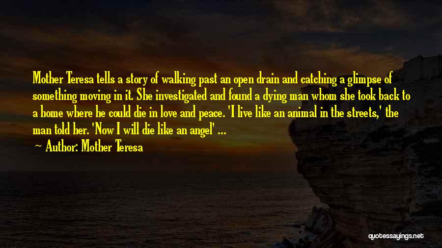 Mother Teresa Quotes: Mother Teresa Tells A Story Of Walking Past An Open Drain And Catching A Glimpse Of Something Moving In It.