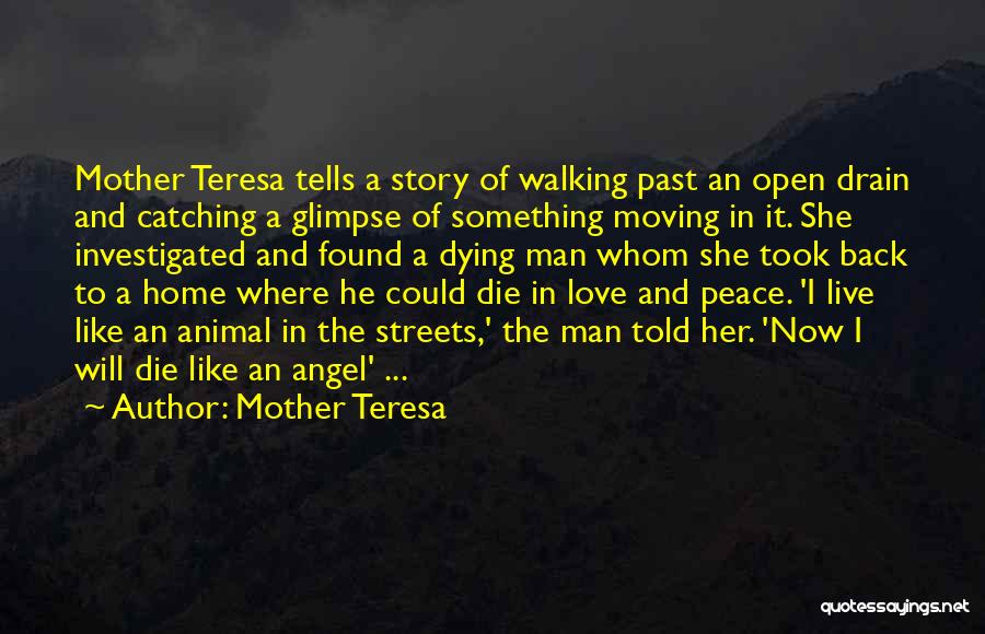 Mother Teresa Quotes: Mother Teresa Tells A Story Of Walking Past An Open Drain And Catching A Glimpse Of Something Moving In It.