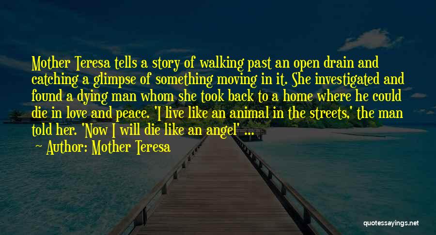 Mother Teresa Quotes: Mother Teresa Tells A Story Of Walking Past An Open Drain And Catching A Glimpse Of Something Moving In It.