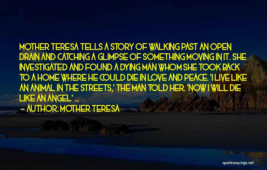 Mother Teresa Quotes: Mother Teresa Tells A Story Of Walking Past An Open Drain And Catching A Glimpse Of Something Moving In It.