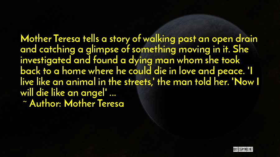 Mother Teresa Quotes: Mother Teresa Tells A Story Of Walking Past An Open Drain And Catching A Glimpse Of Something Moving In It.