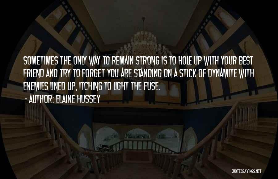 Elaine Hussey Quotes: Sometimes The Only Way To Remain Strong Is To Hole Up With Your Best Friend And Try To Forget You