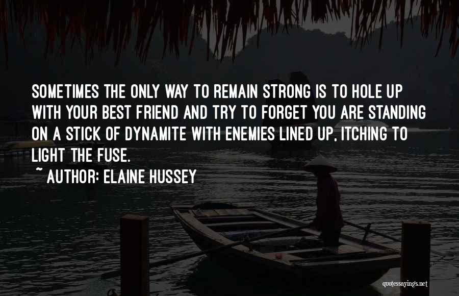 Elaine Hussey Quotes: Sometimes The Only Way To Remain Strong Is To Hole Up With Your Best Friend And Try To Forget You