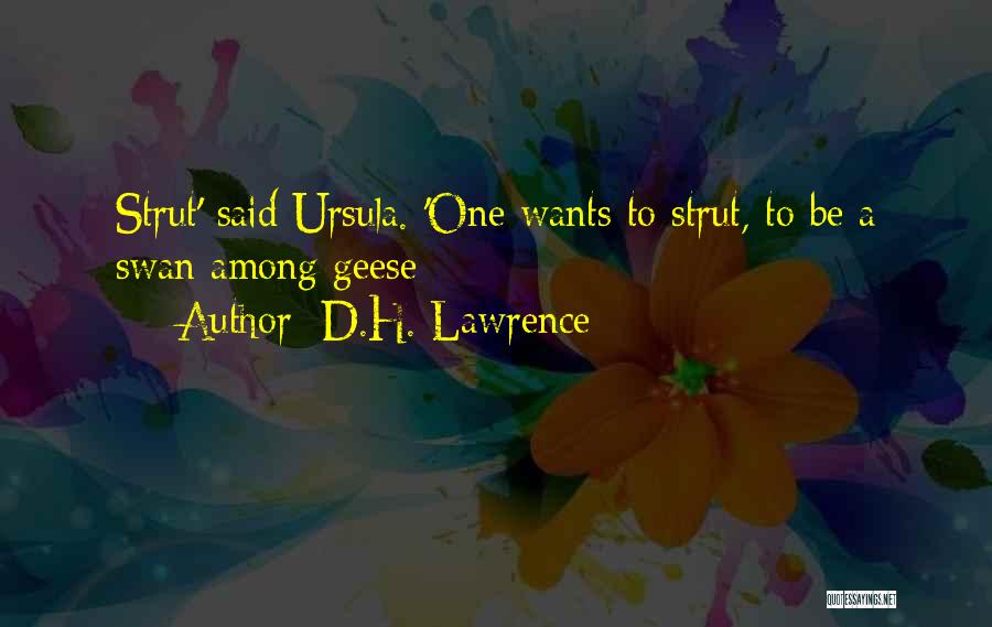 D.H. Lawrence Quotes: Strut' Said Ursula. 'one Wants To Strut, To Be A Swan Among Geese