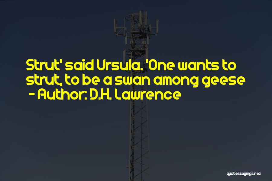 D.H. Lawrence Quotes: Strut' Said Ursula. 'one Wants To Strut, To Be A Swan Among Geese