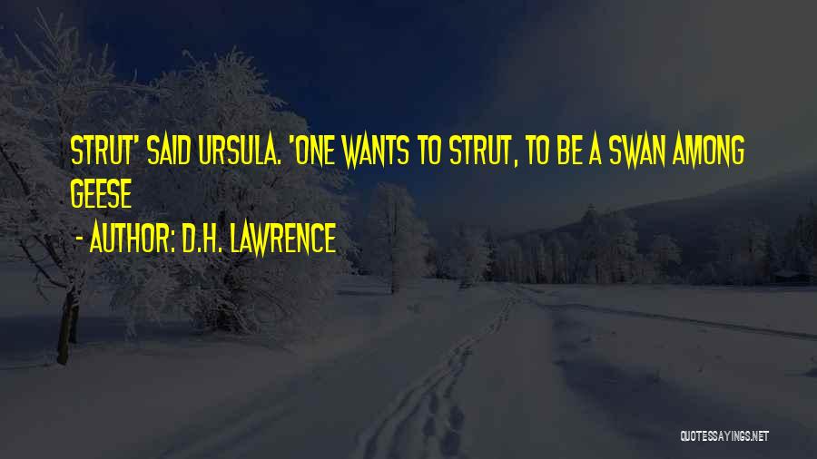 D.H. Lawrence Quotes: Strut' Said Ursula. 'one Wants To Strut, To Be A Swan Among Geese