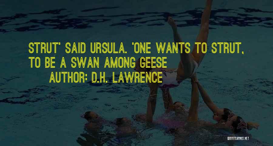 D.H. Lawrence Quotes: Strut' Said Ursula. 'one Wants To Strut, To Be A Swan Among Geese