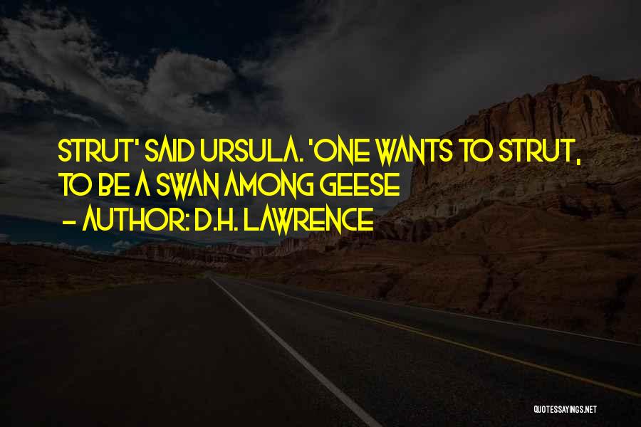 D.H. Lawrence Quotes: Strut' Said Ursula. 'one Wants To Strut, To Be A Swan Among Geese
