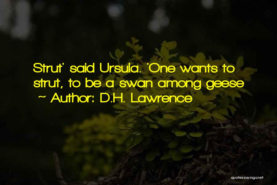 D.H. Lawrence Quotes: Strut' Said Ursula. 'one Wants To Strut, To Be A Swan Among Geese