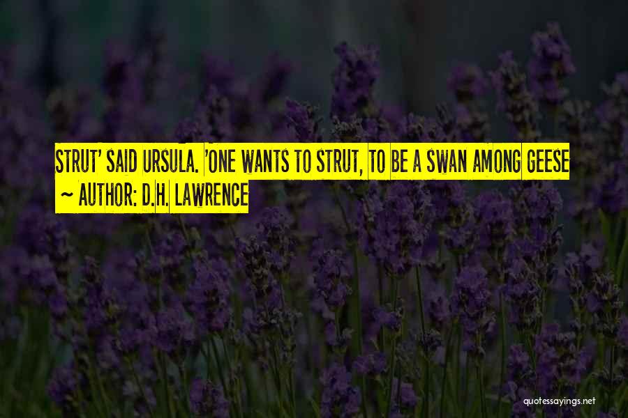D.H. Lawrence Quotes: Strut' Said Ursula. 'one Wants To Strut, To Be A Swan Among Geese