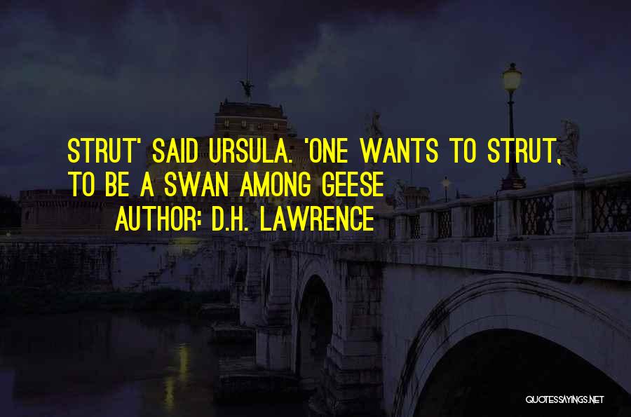 D.H. Lawrence Quotes: Strut' Said Ursula. 'one Wants To Strut, To Be A Swan Among Geese