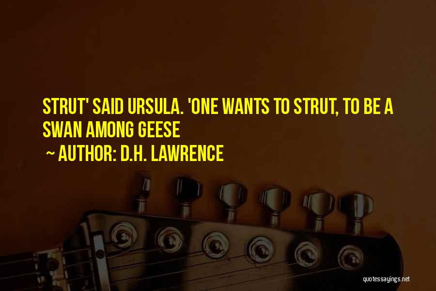 D.H. Lawrence Quotes: Strut' Said Ursula. 'one Wants To Strut, To Be A Swan Among Geese