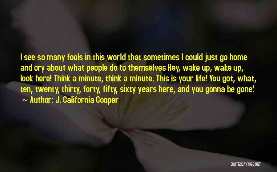 J. California Cooper Quotes: I See So Many Fools In This World That Sometimes I Could Just Go Home And Cry About What People