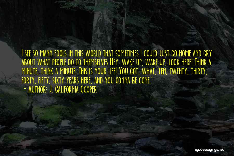 J. California Cooper Quotes: I See So Many Fools In This World That Sometimes I Could Just Go Home And Cry About What People