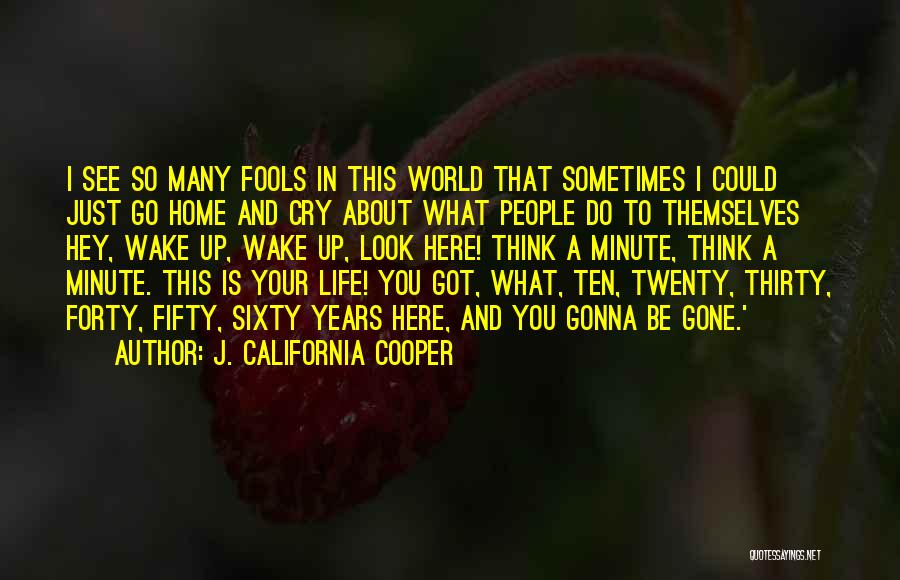 J. California Cooper Quotes: I See So Many Fools In This World That Sometimes I Could Just Go Home And Cry About What People