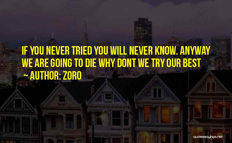 Zoro Quotes: If You Never Tried You Will Never Know. Anyway We Are Going To Die Why Dont We Try Our Best