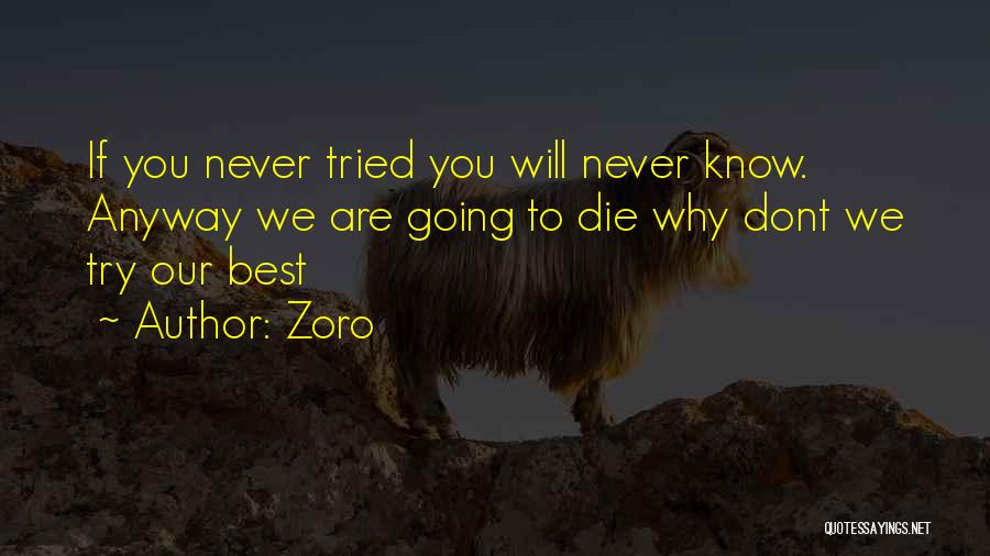 Zoro Quotes: If You Never Tried You Will Never Know. Anyway We Are Going To Die Why Dont We Try Our Best