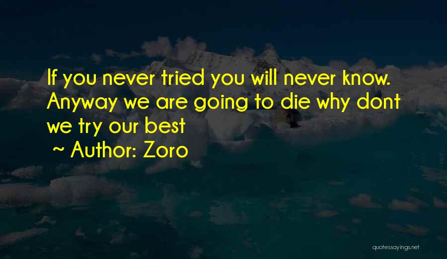 Zoro Quotes: If You Never Tried You Will Never Know. Anyway We Are Going To Die Why Dont We Try Our Best