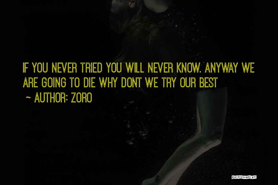 Zoro Quotes: If You Never Tried You Will Never Know. Anyway We Are Going To Die Why Dont We Try Our Best