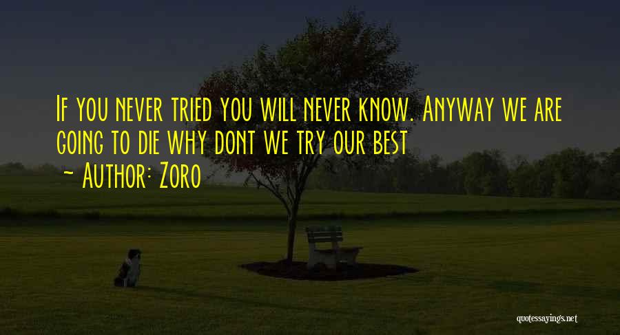Zoro Quotes: If You Never Tried You Will Never Know. Anyway We Are Going To Die Why Dont We Try Our Best