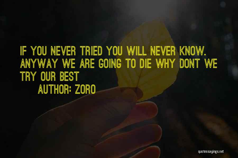 Zoro Quotes: If You Never Tried You Will Never Know. Anyway We Are Going To Die Why Dont We Try Our Best