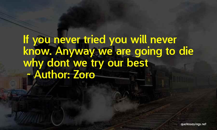 Zoro Quotes: If You Never Tried You Will Never Know. Anyway We Are Going To Die Why Dont We Try Our Best